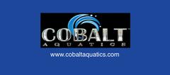 Cobalt Aquatics