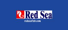 Red Sea